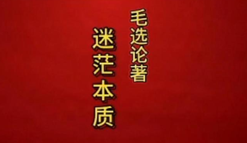 毛选论著---迷茫本质
